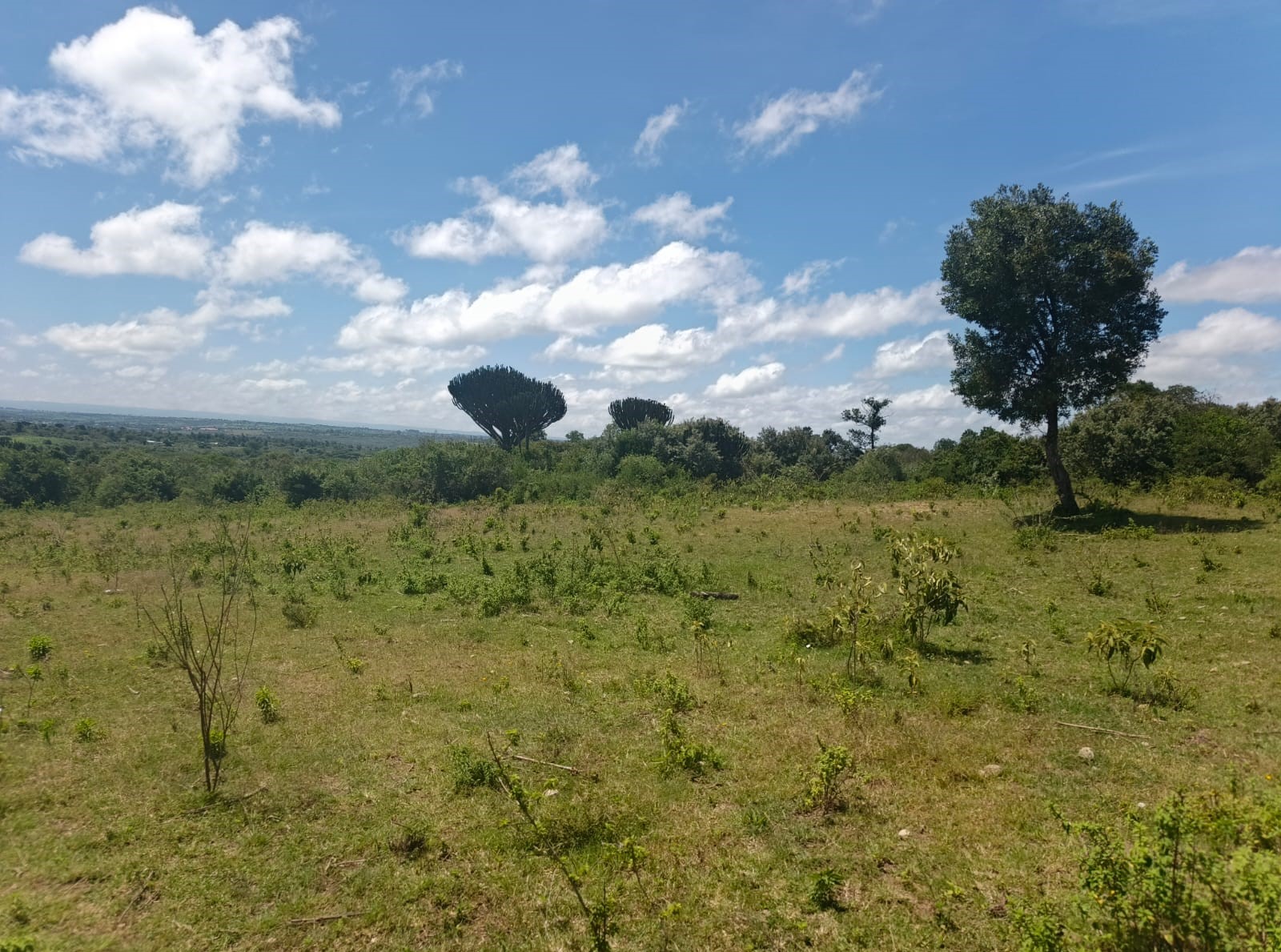 Nkairamram land thumbnail 3